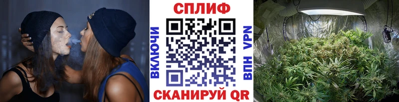 Каннабис гибрид Любань